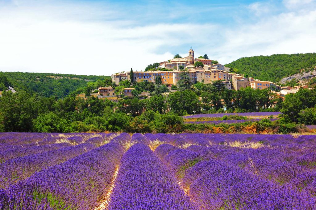 Provence bạn có thể lựa chọn ngắm nhìn những cánh đồng hoa Lavender bằng cách đi xe đạp